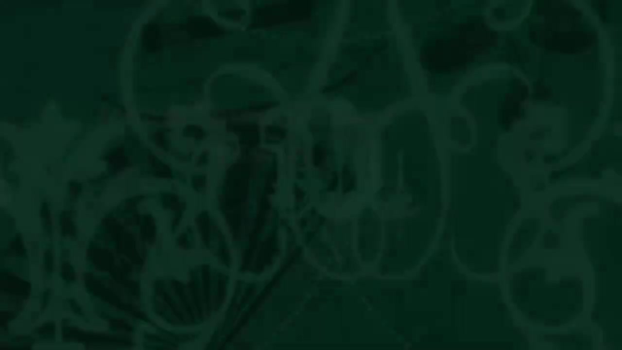 【国语】芭比公主三剑客2009