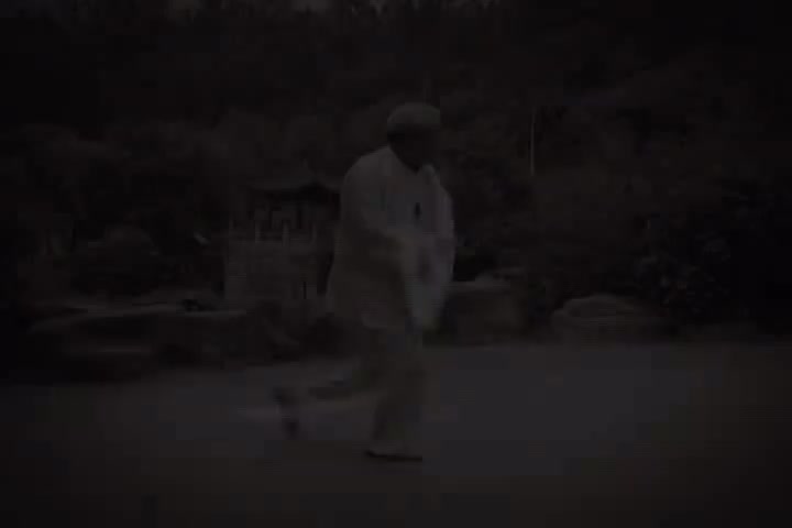 杨式太极拳85式教学7