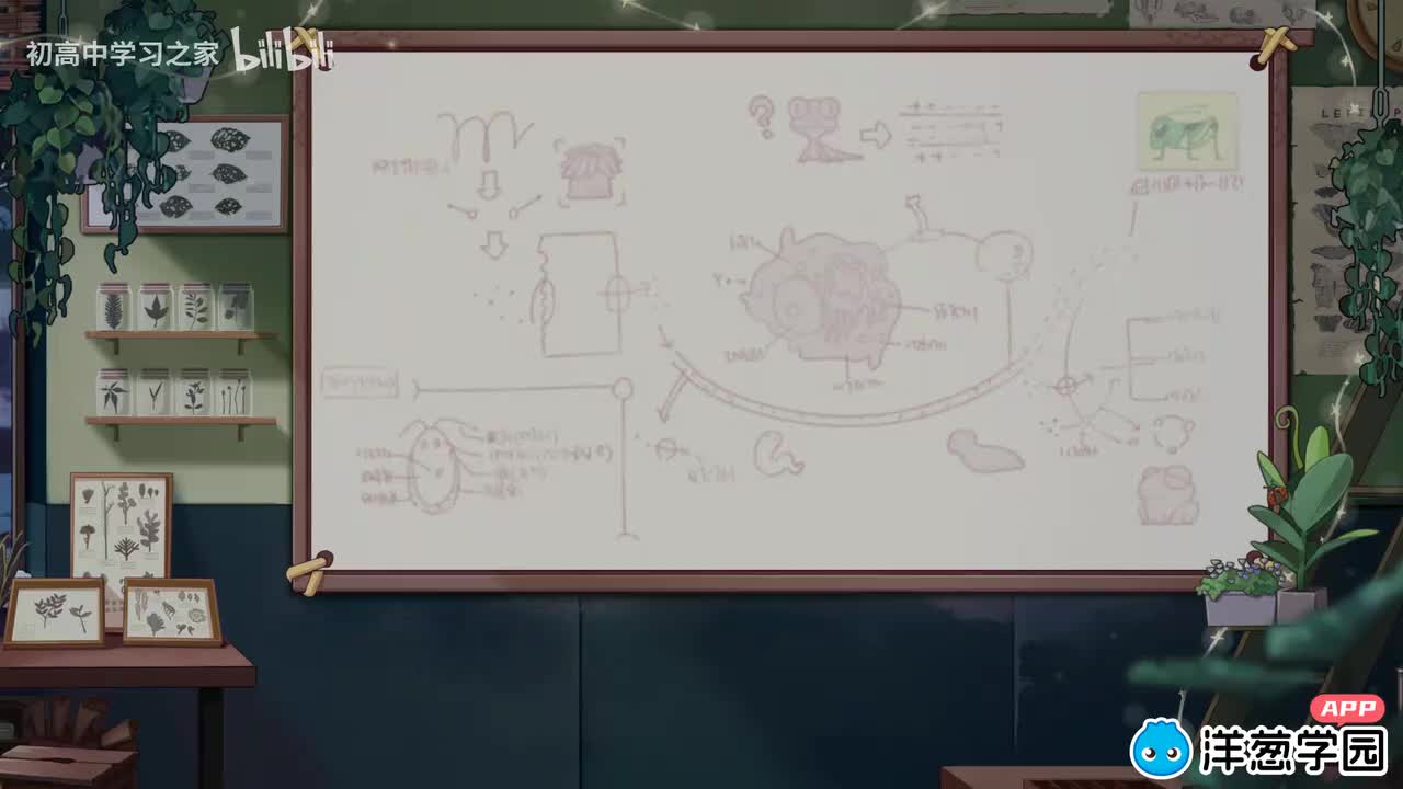 5 甲状腺激素分泌的分级调节