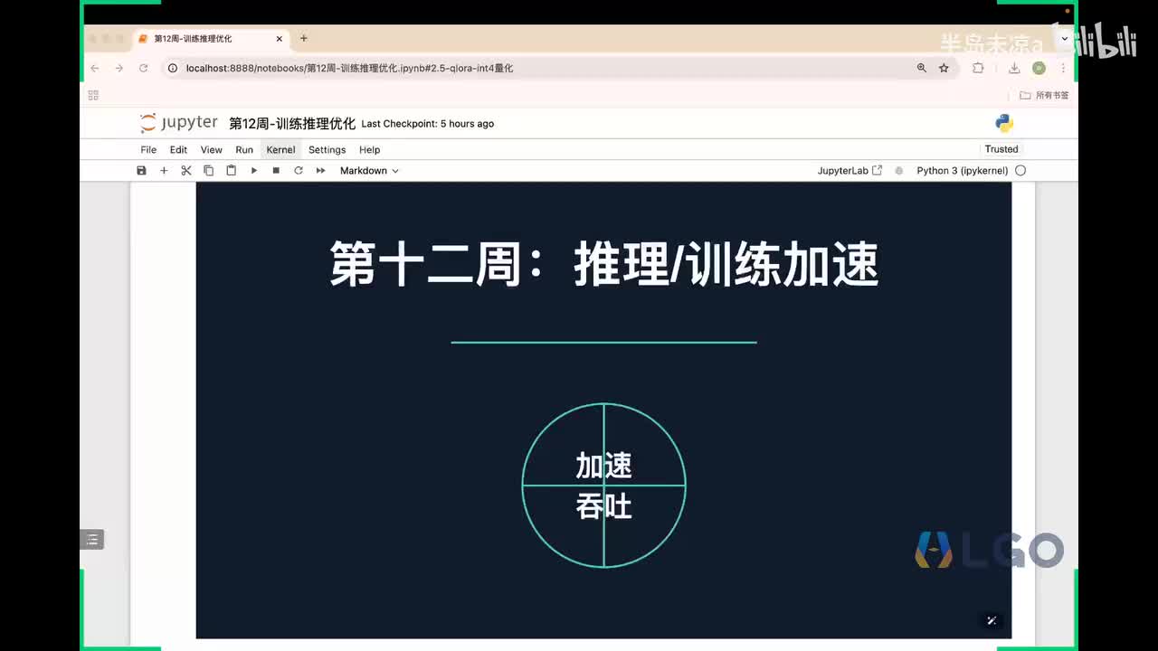 19_大模型实战课第13节