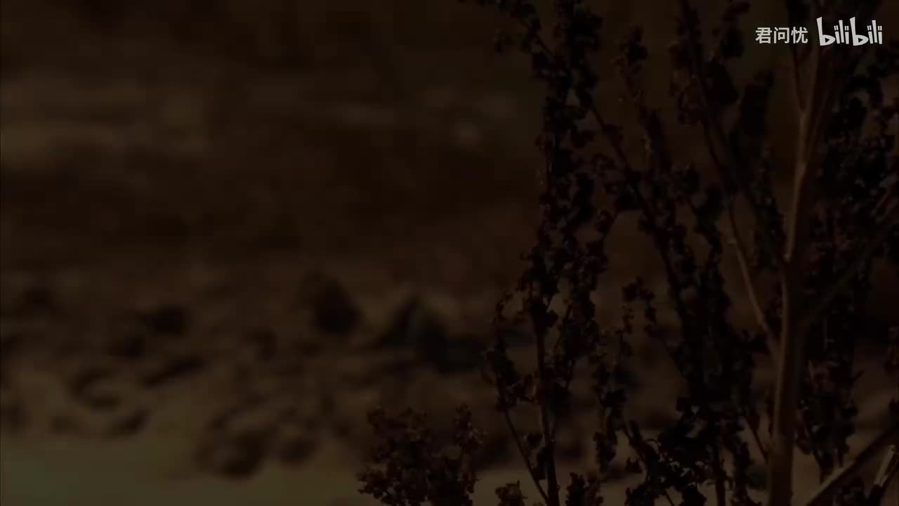 第7季「第06集」办公室政治