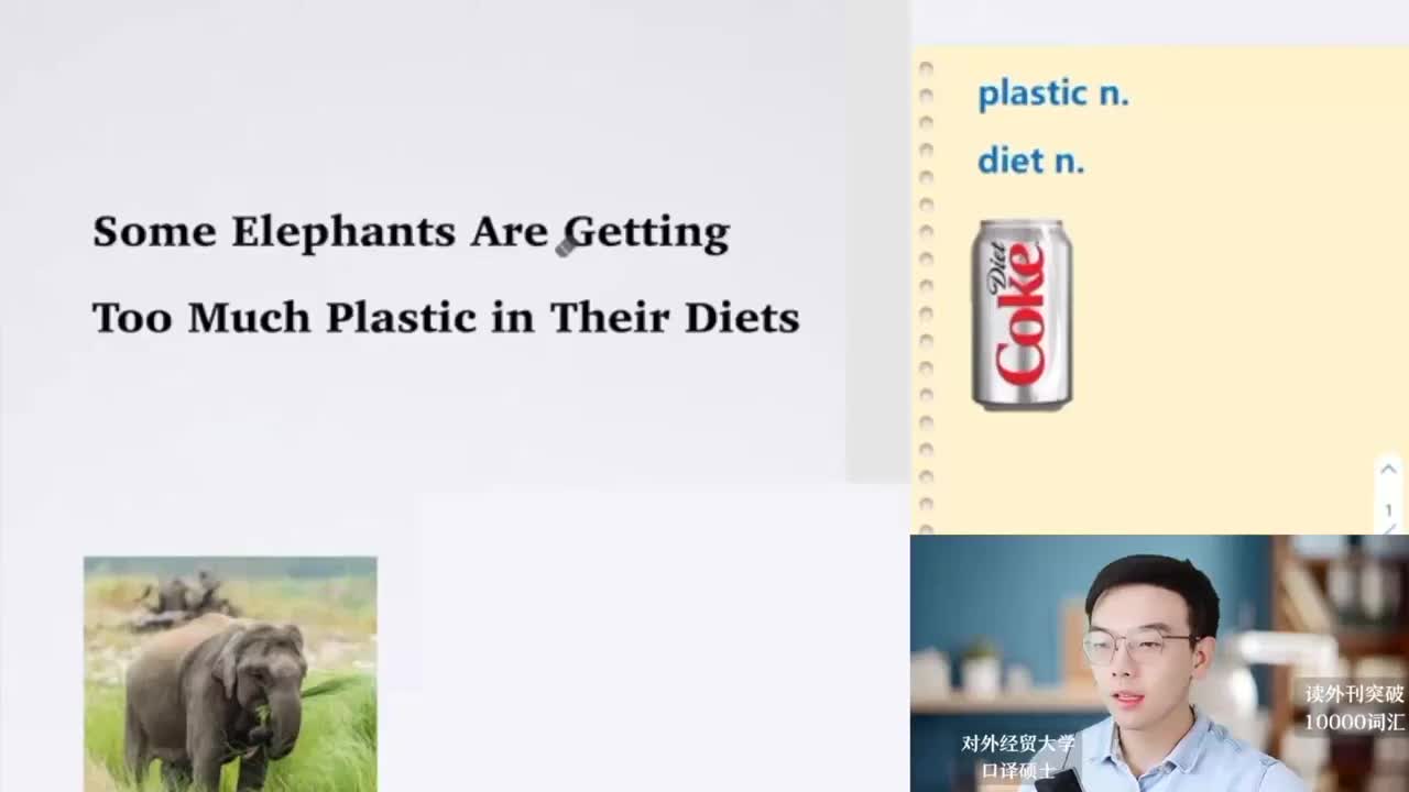 【每日超精读29】大象的日常饮食中摄入过多塑料！