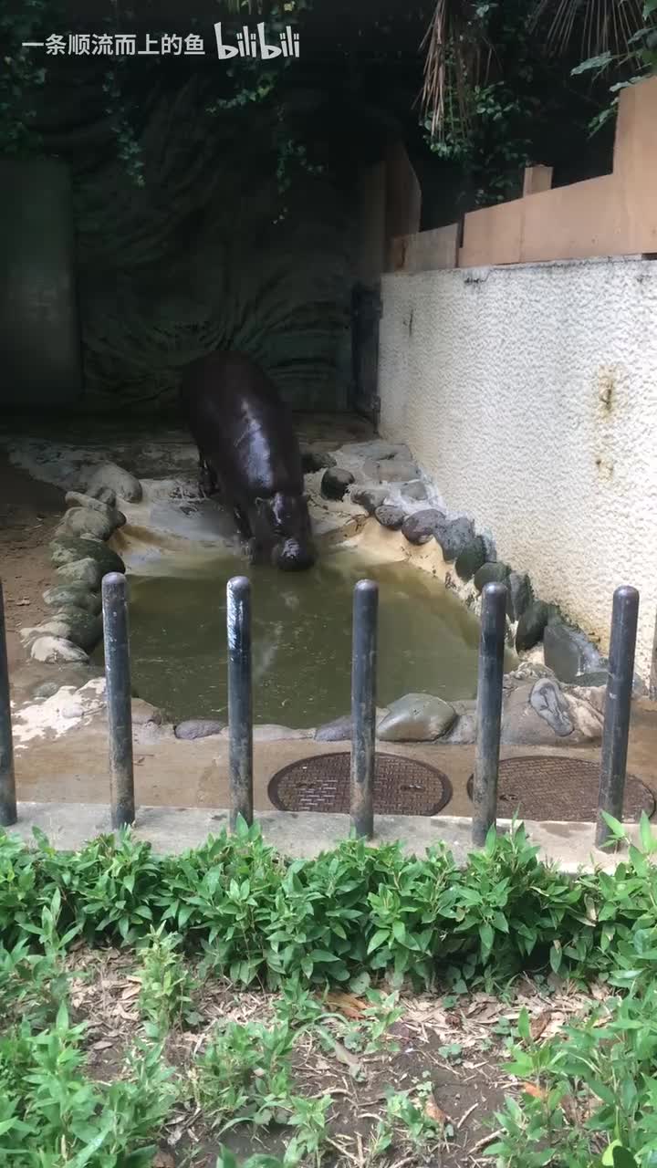 防火墙