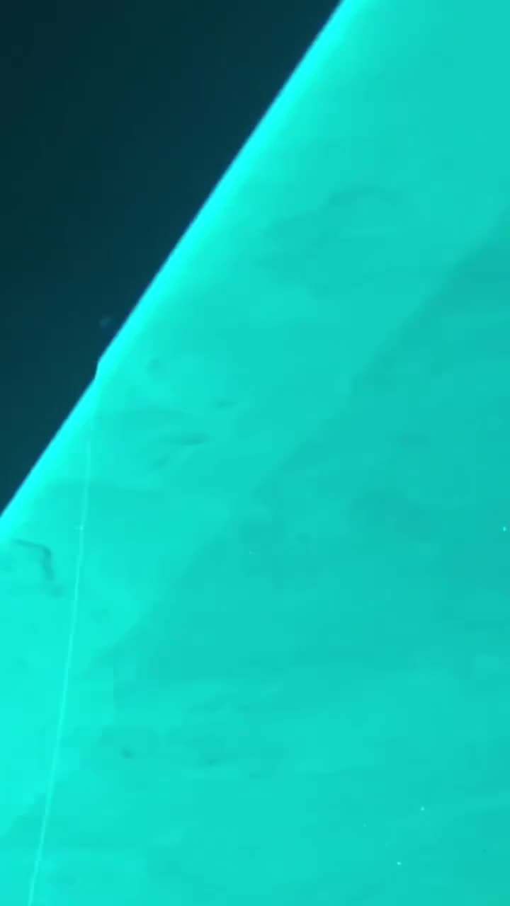 《需要人陪》☆☆