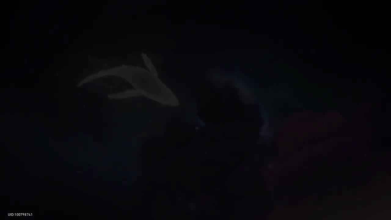 【1.0】13.星间流浪