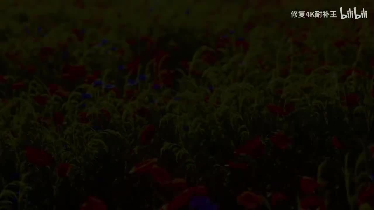 马大帅第一部9-17