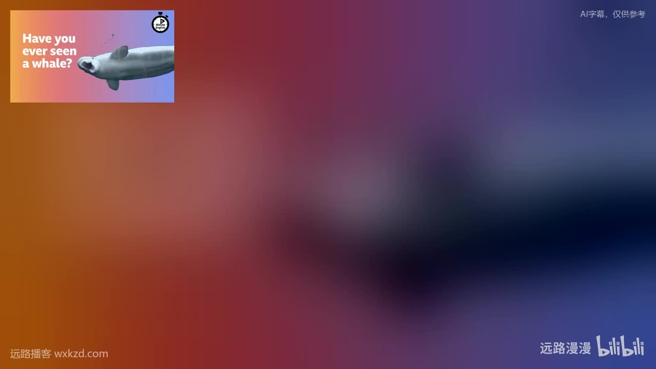 251002 - Have you ever seen a whale?