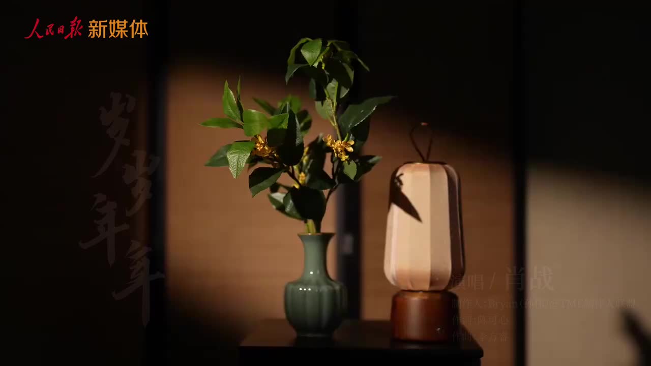 肖战 岁岁年年251006