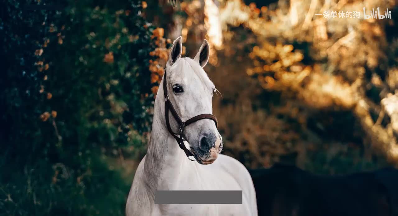 【POWERBI】3. 多种数据源的导入