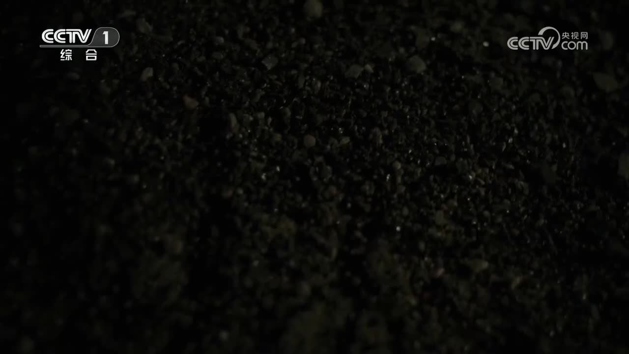 第4集 血肉筑起的长城