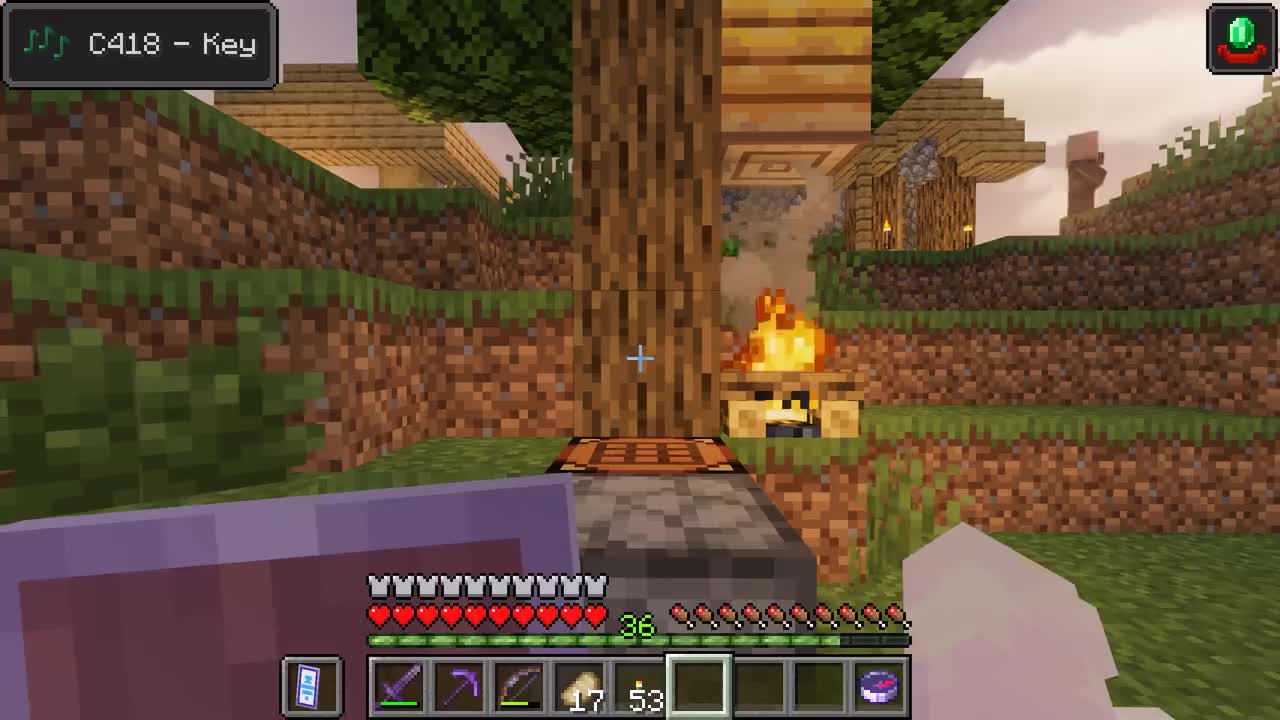 一位英雄回到了故乡