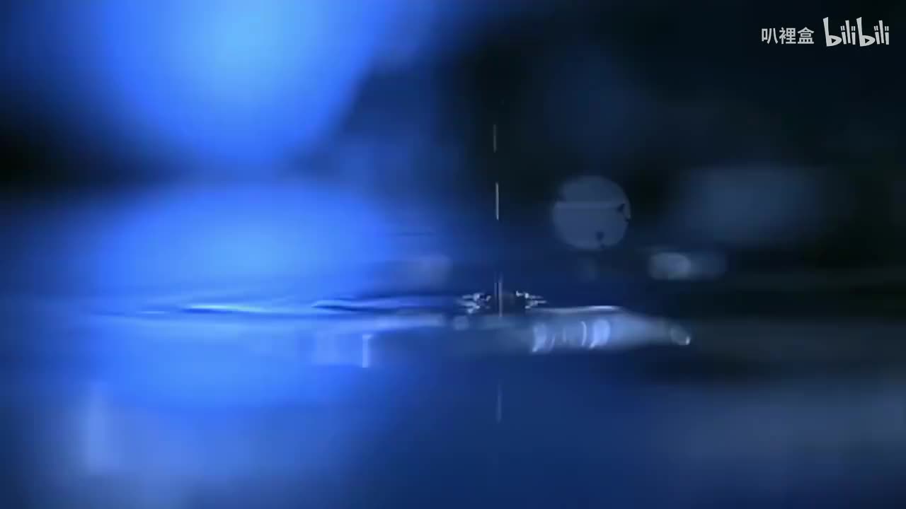 鳳凰傳奇-荷塘月色