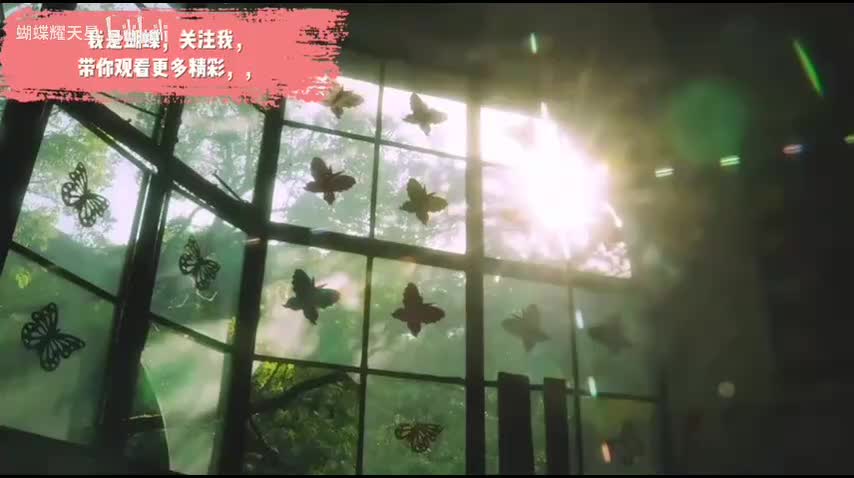 给主号点点关注哦