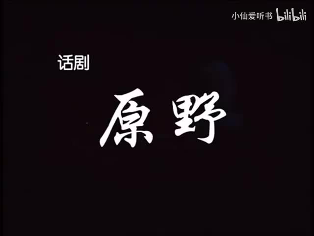 原野(2010) 胡军_徐帆_濮存昕_吕中