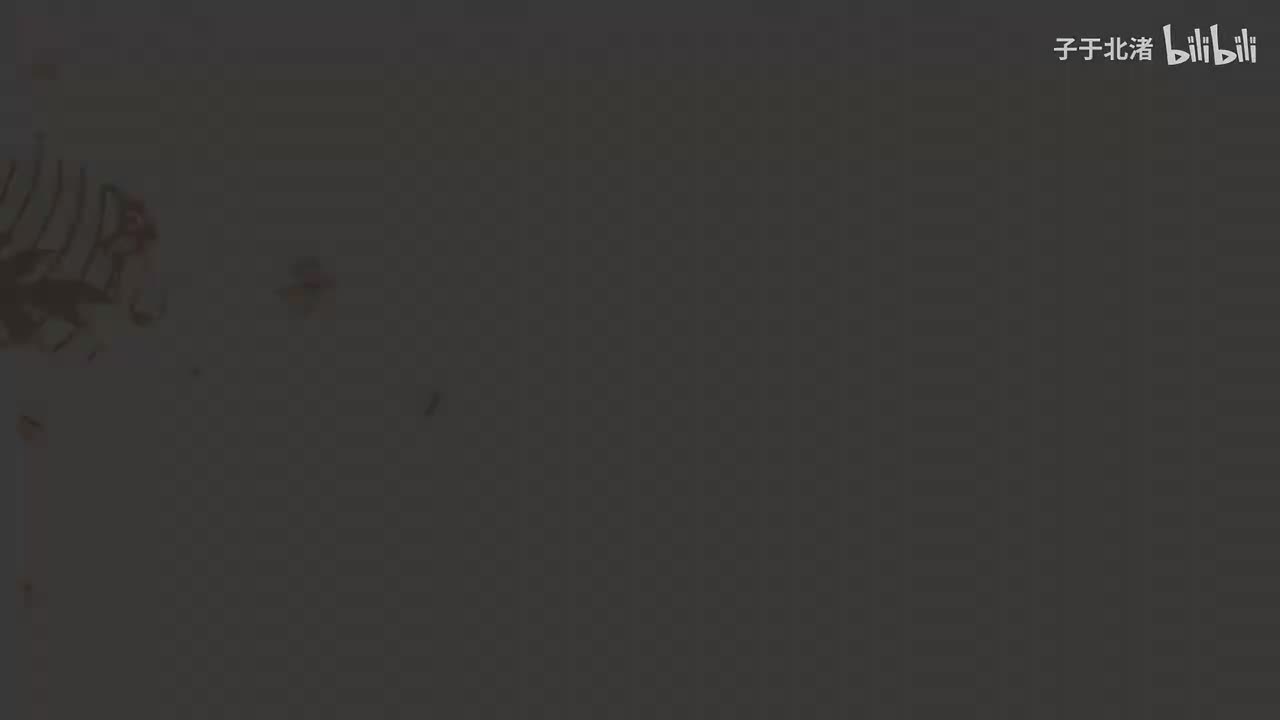 2024拜年纪转场BGM3
