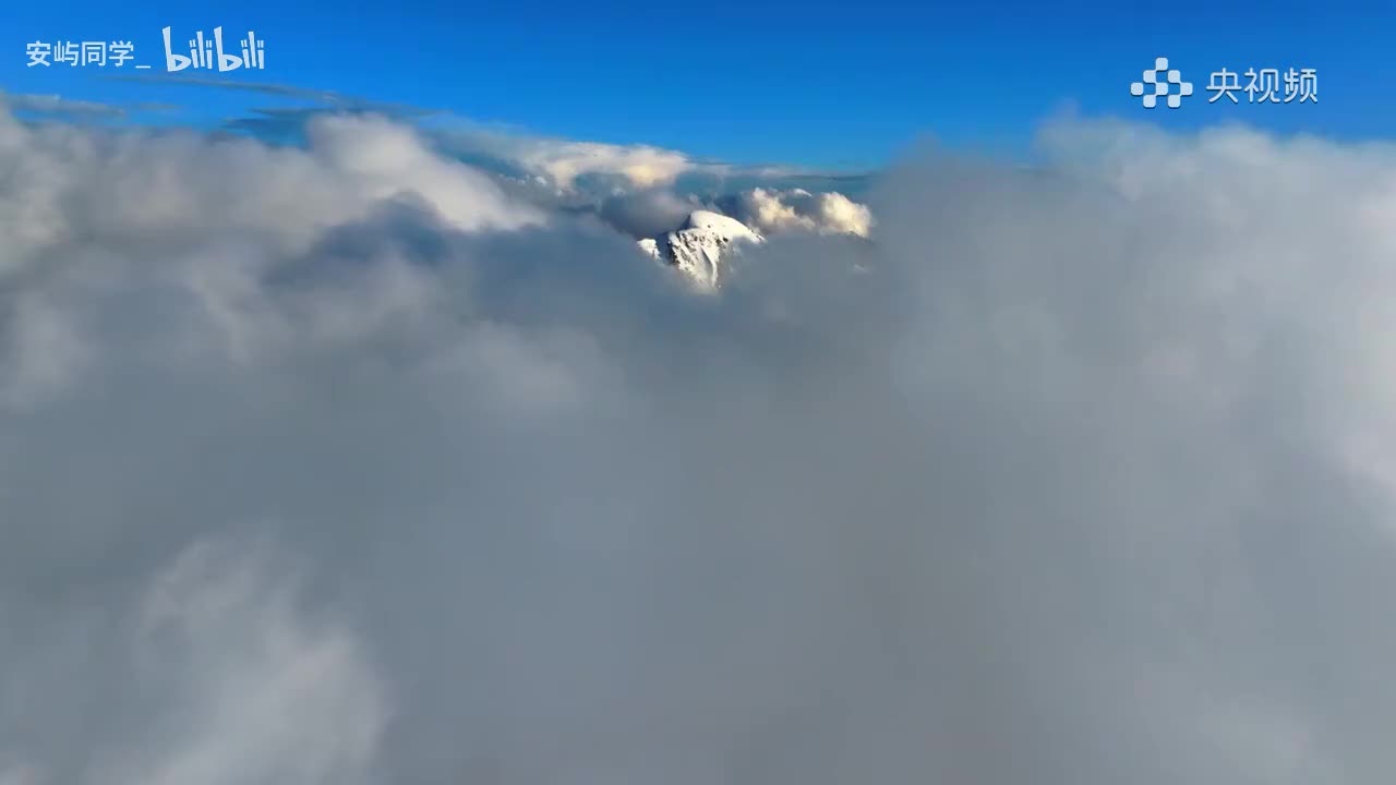 第6集：澎湃绿洲