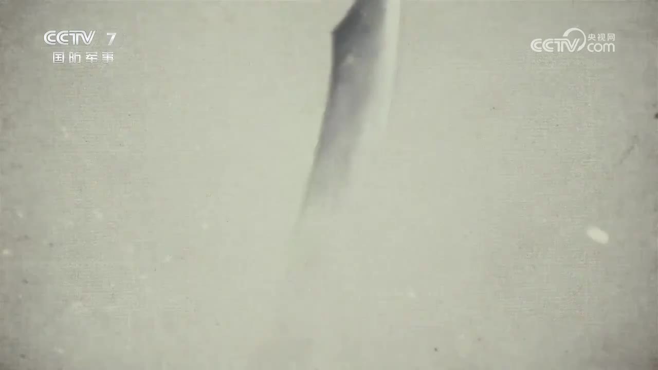 【第十集】沙场殒命志无违