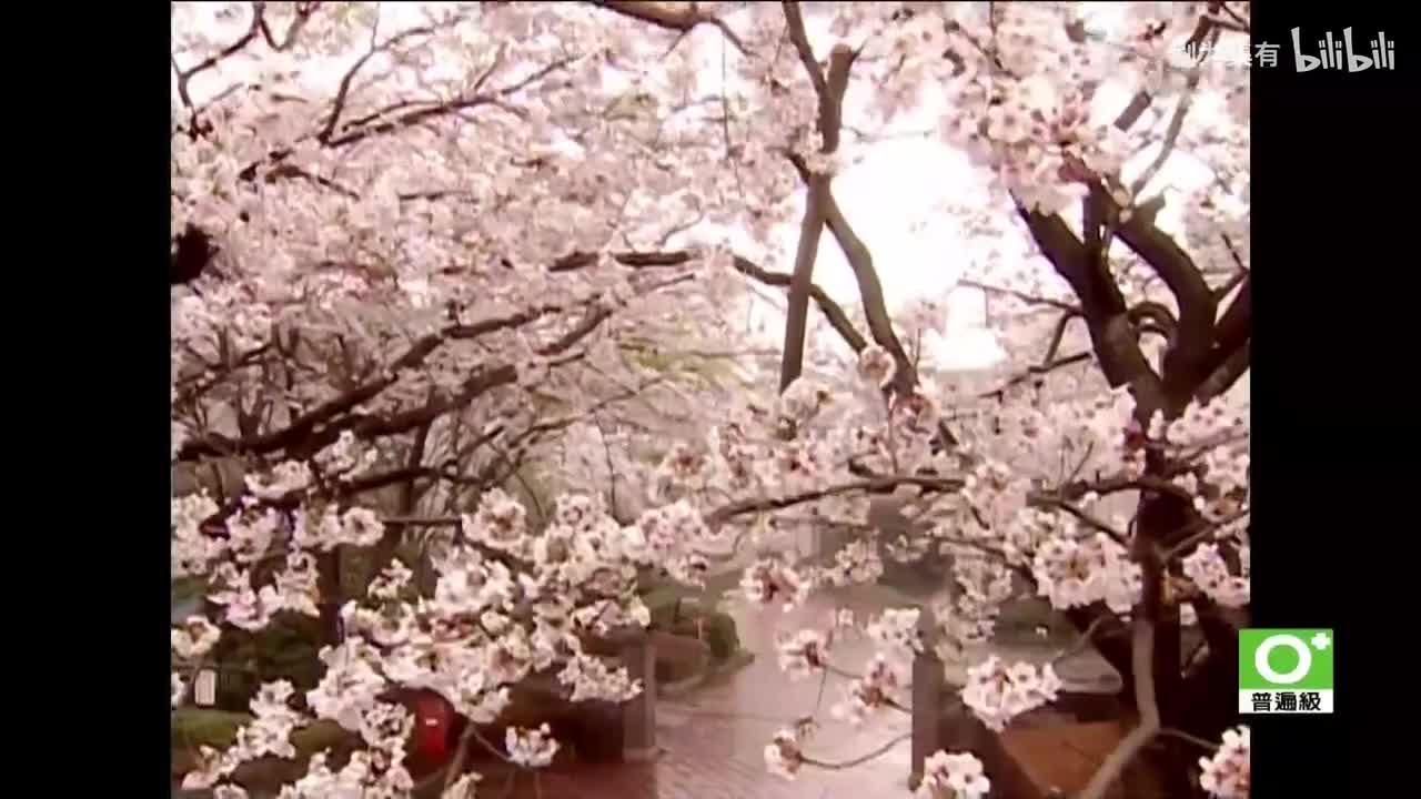 台配版 极道鲜师S1 上