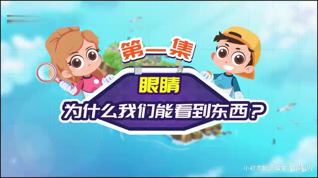 第1节：我们为什么能看见东西