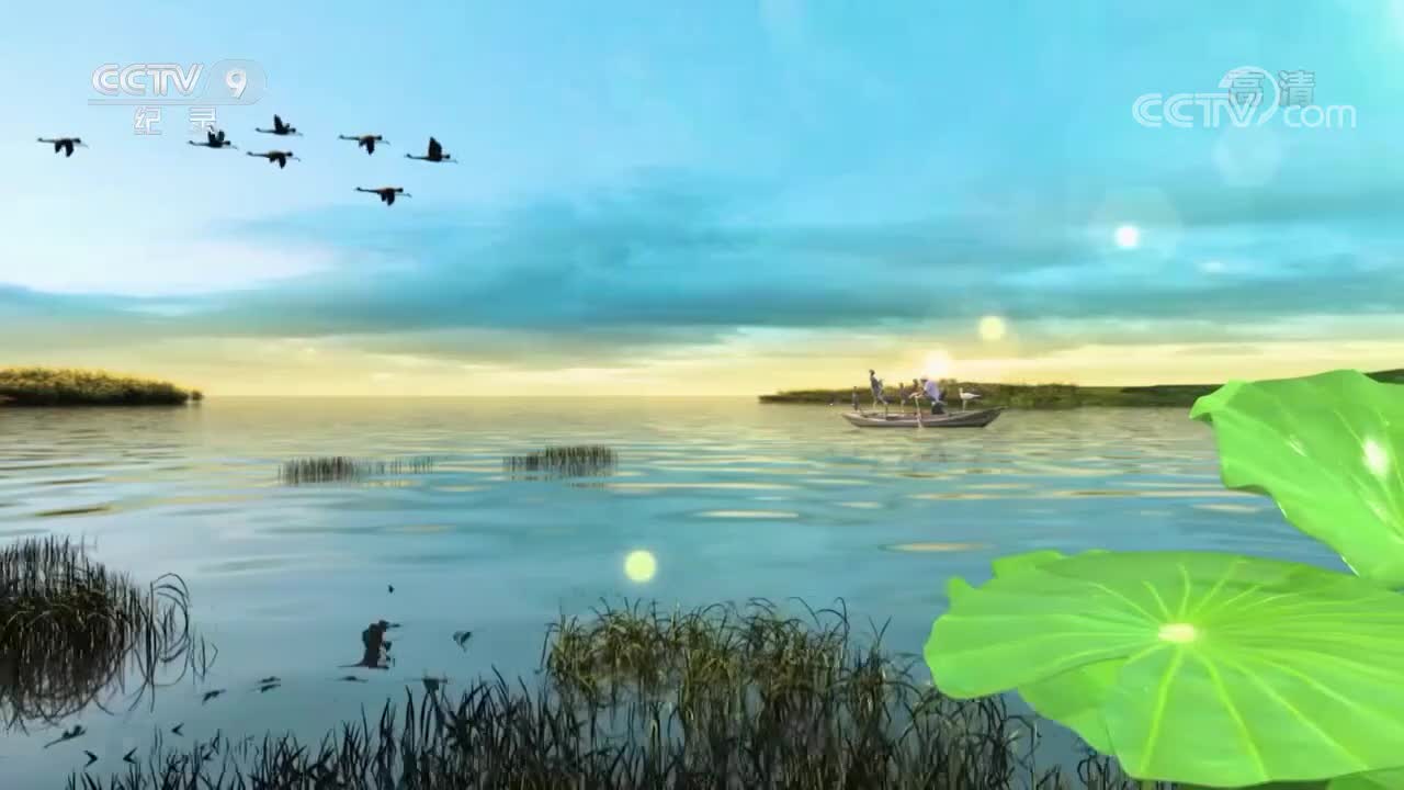 【第三集】雁翎队