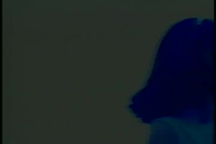 多少柔情多少泪