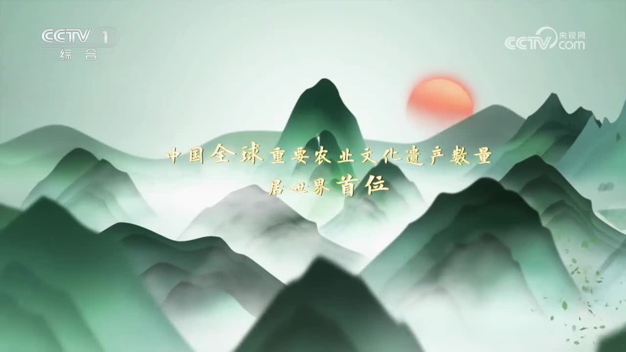 第13集 云南红河哈尼稻作梯田系统