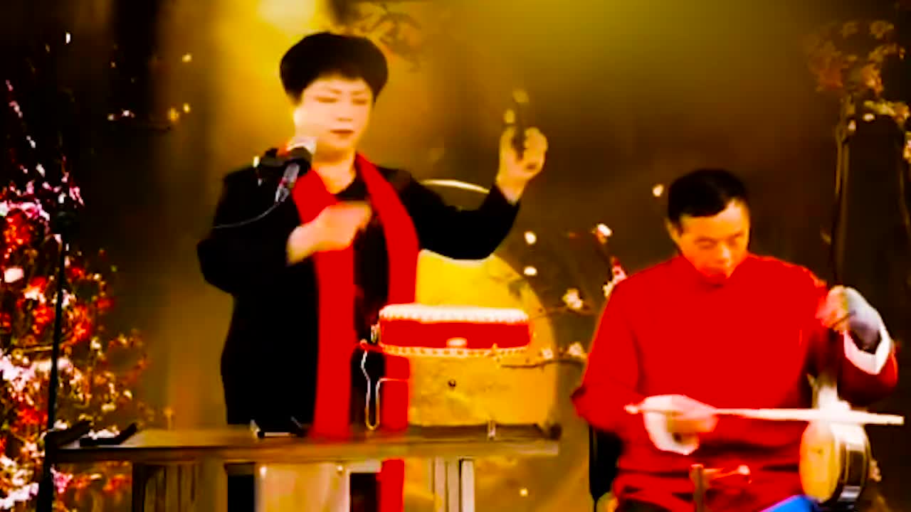 河南坠子 · 《呼家将》肖计英（47）