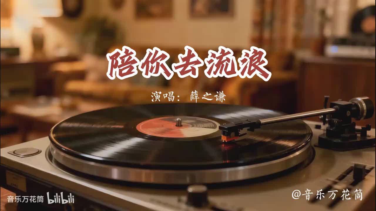 28. 陪你去流浪-薛之谦