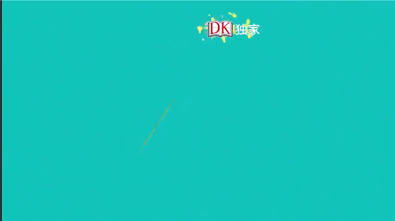 23.第二十三节：美丽的鸟