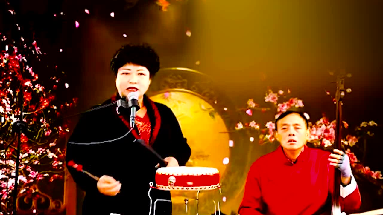 河南坠子 · 《呼家将》肖计英（21）