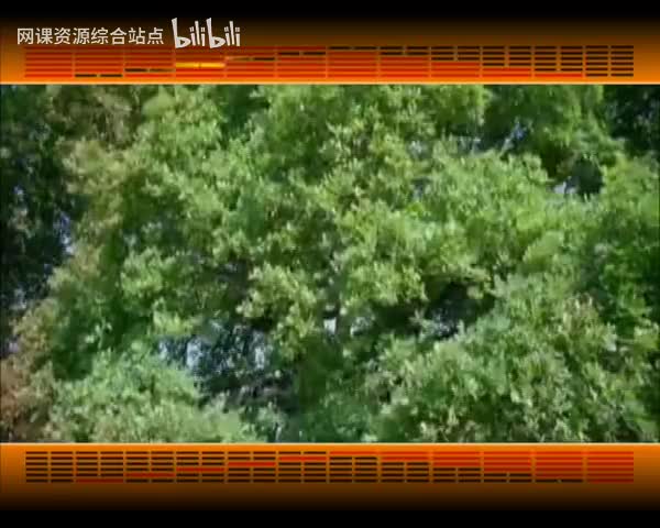 102_易经的智慧_（卦序41）_损卦（下）为道日损