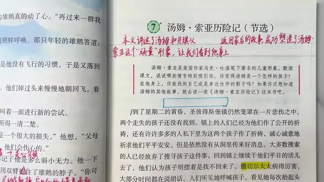 18_7 汤姆 索亚历险记