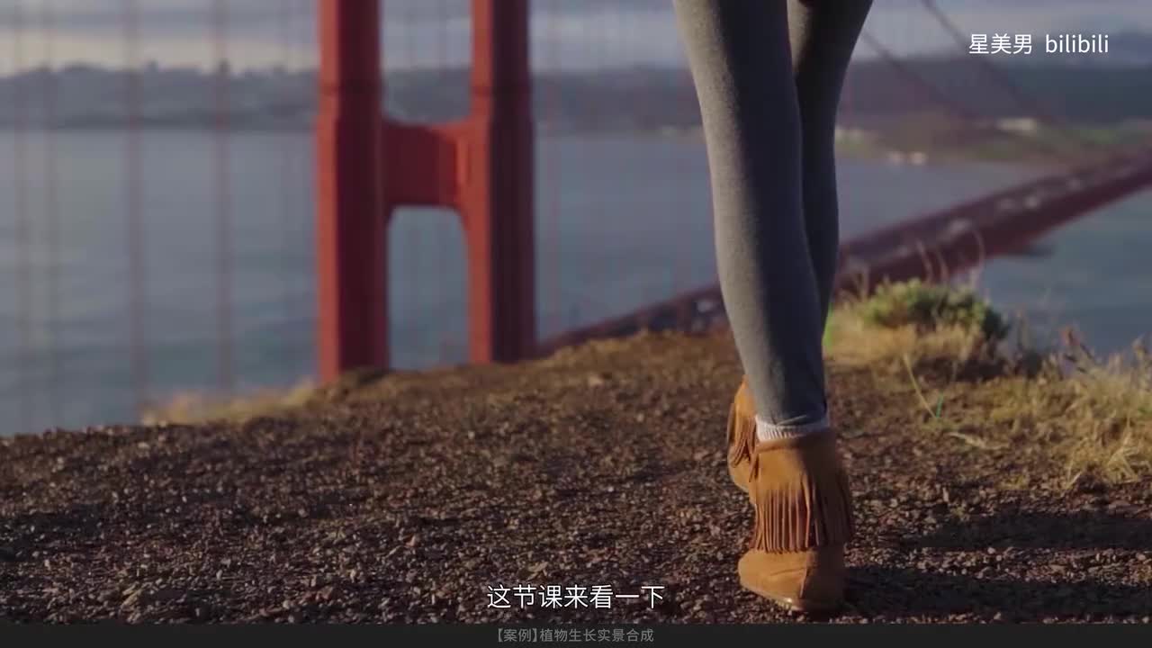 52.【案例】植物生长实景合成