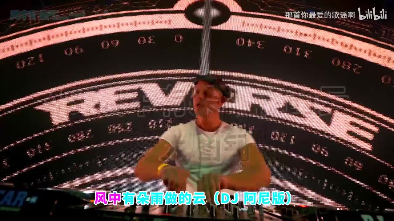 045. 风中有朵雨做的云 (DJ阿尼版) - 大图钉