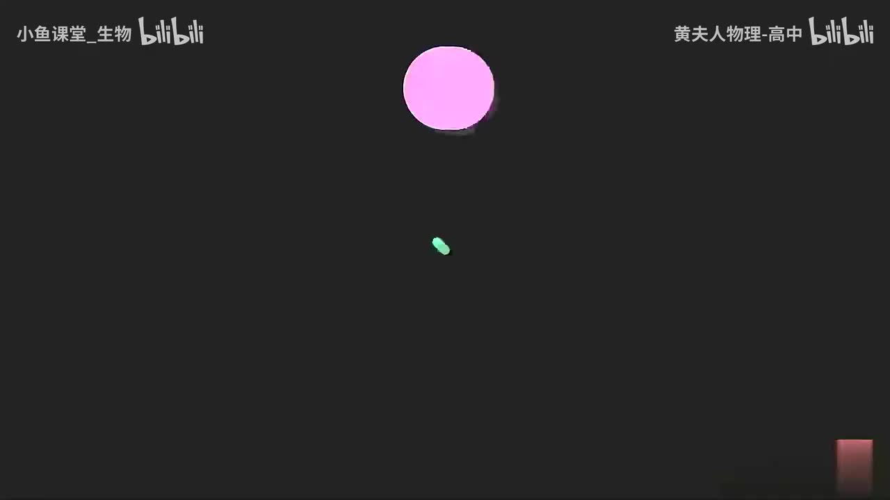 13-20 【互动练习】v-t图像