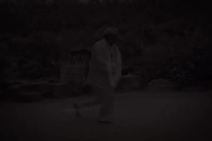 杨式太极拳85式教学9