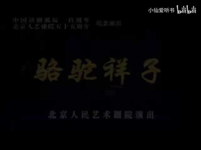 036.北京人艺《骆驼祥子》（2007）老舍_梅阡_顾威_于震_王茜华_王德(18)