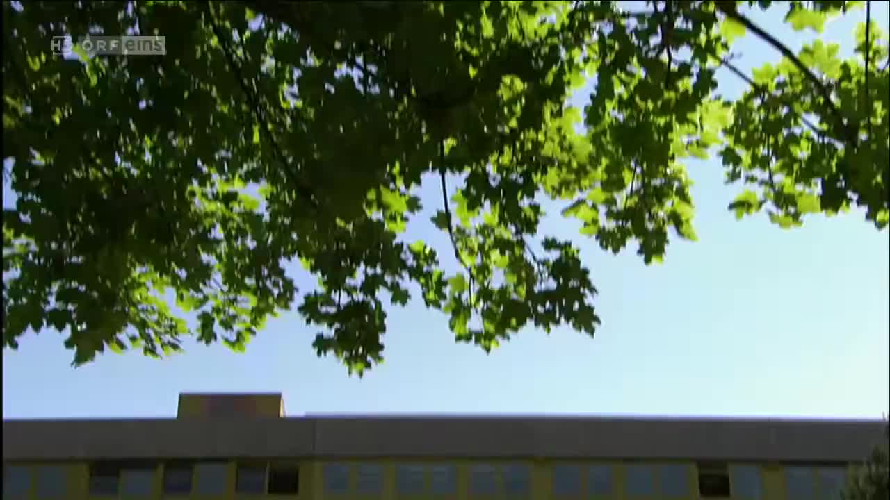 Türkisch für Anfänger (Season 2 Episode 14) Watch German TV series (German Subti