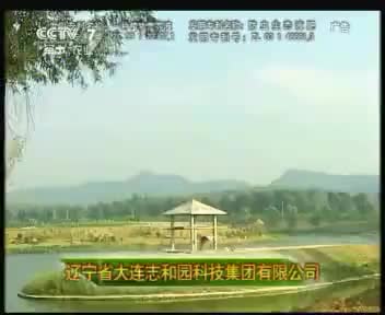志和园 2011.12.13