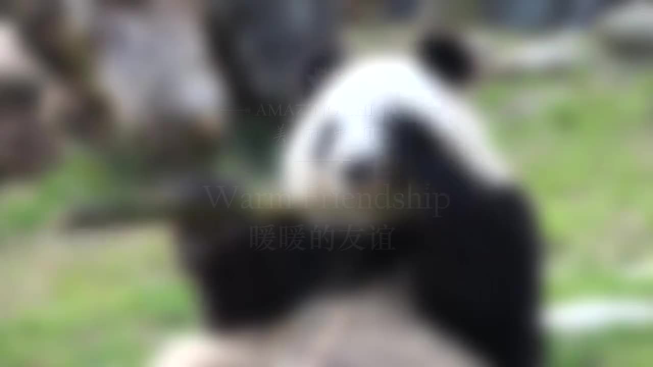 068-Warm Friendship 暖暖的友谊