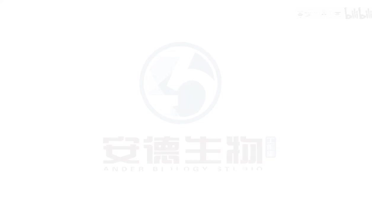 14.遗传的基本概念