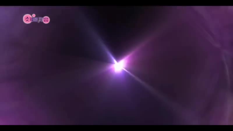 【moonsclub】110103新鲜直播通玛丽终映宴采访中字