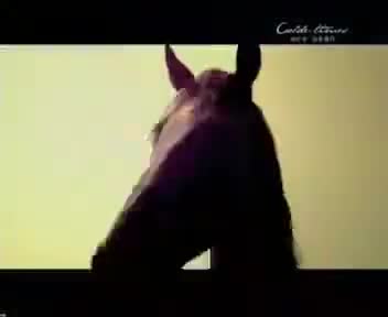 tvcimage.meihua.infompeg20100224112700_60FE.mp4