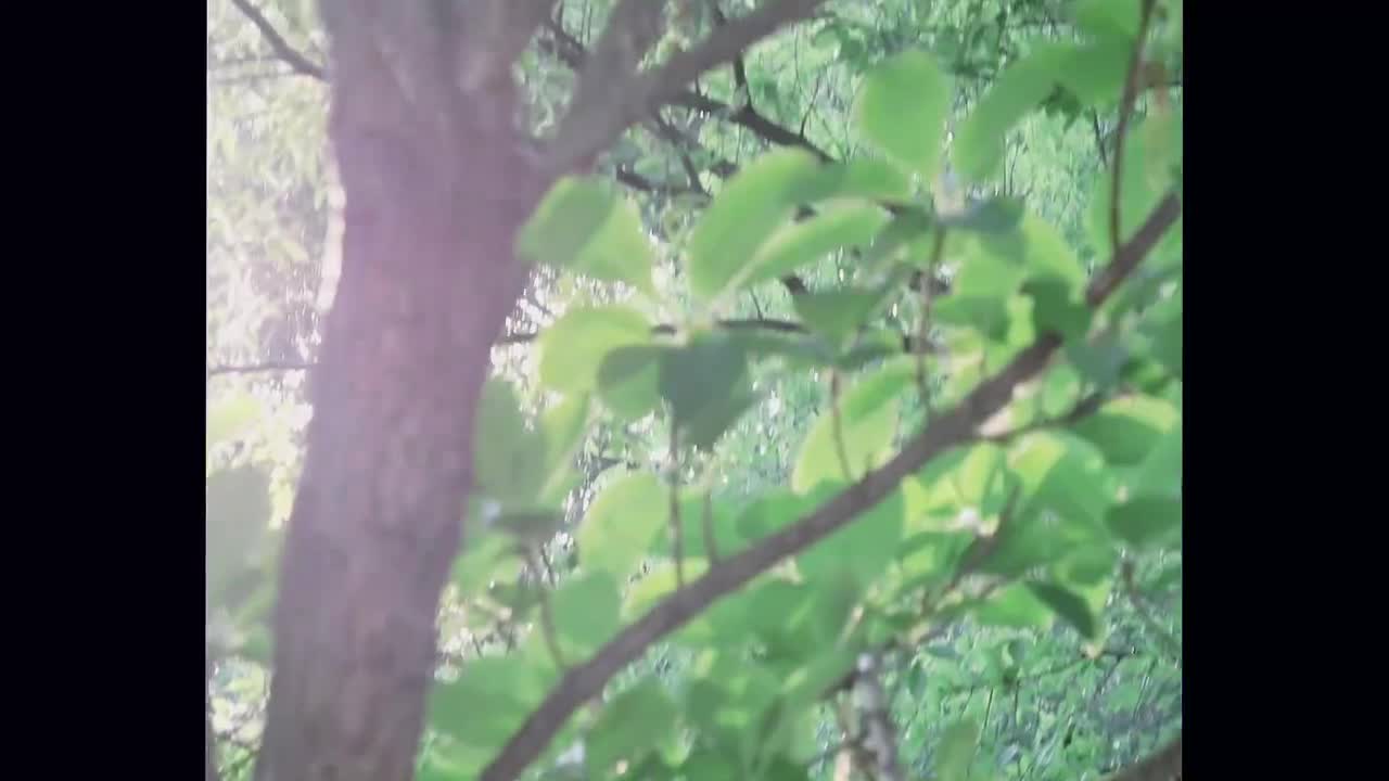 20240811 'Highway 1009' Official Film (for ENGENE)