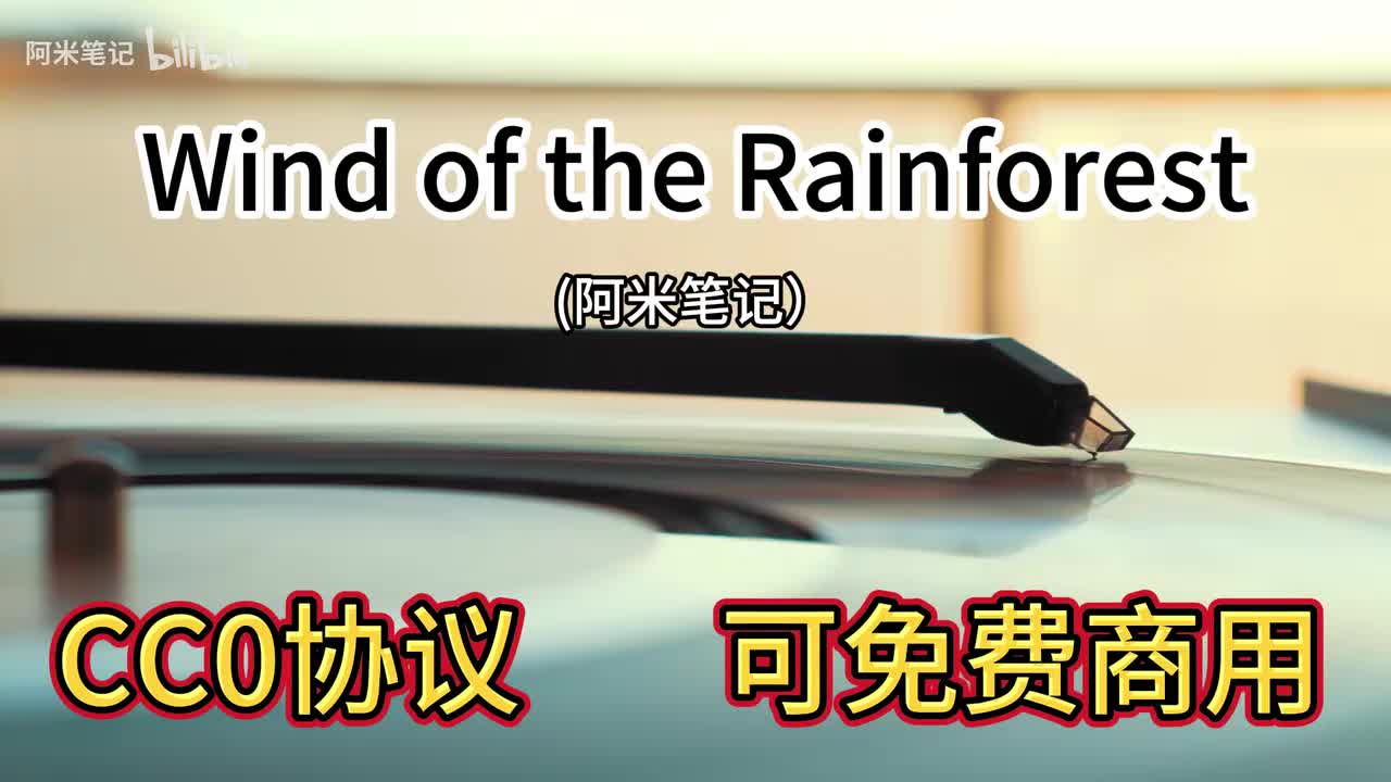 Wind of the Rainforest