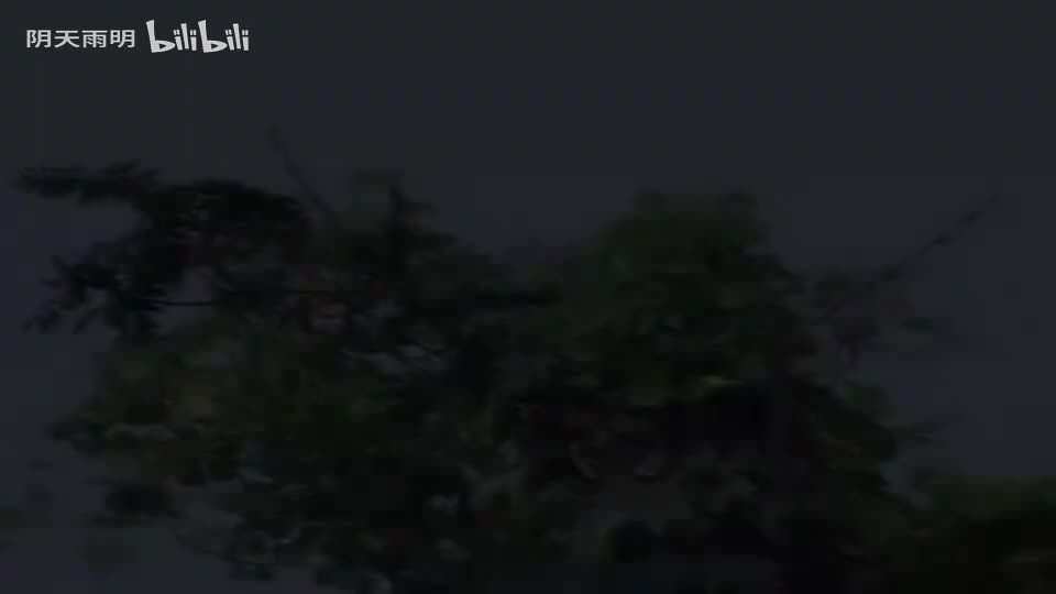 民间小调《俩个儿子活葬母》03 张丽 田明金 尹桂廷 曹四臣 荆丽君 荆献鼎 李发东