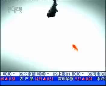 tvcimage.meihua.infompeg20100221112375_1290.mp4
