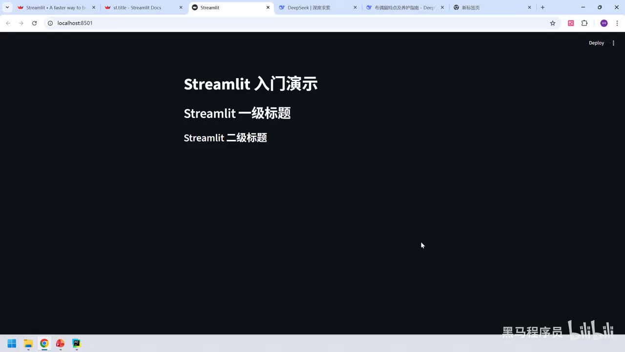 101. AI应用-实战-streamlit基础用法