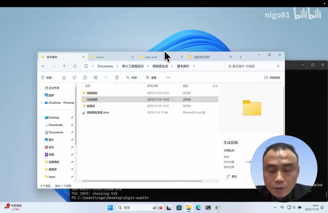 12-明细表生成-提取汇总信息进行检查