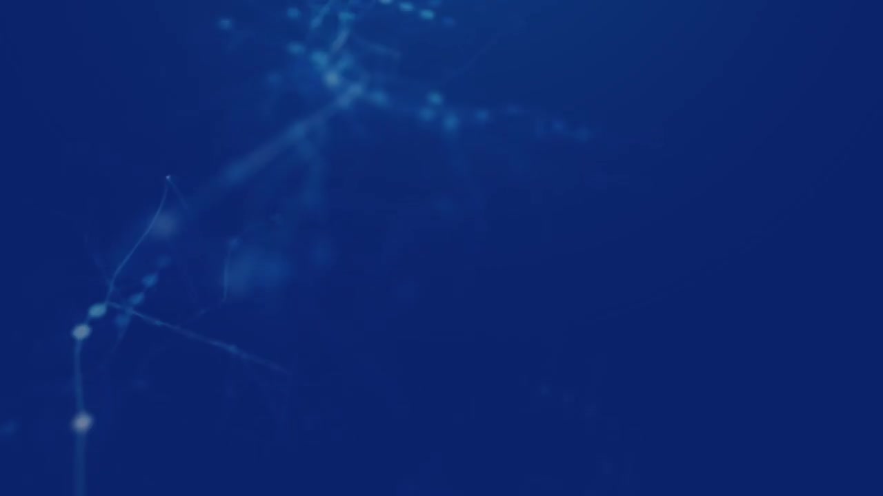 77 企业案例-车辆大灯在会车时炫目